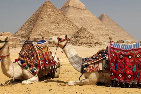 Cairo Over day Visit Pyramids, Sphinx, Egyptian Museum and Lunch From Hurghada
